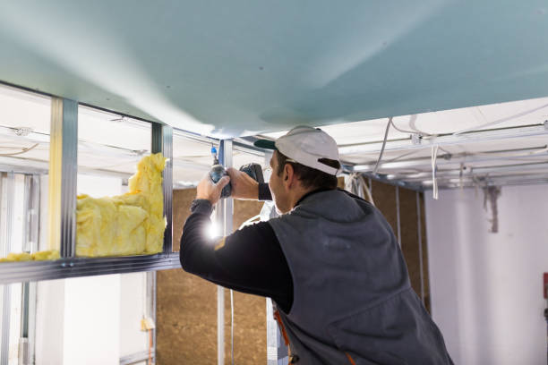 Types of Insulation We Offer in Collierville, CA