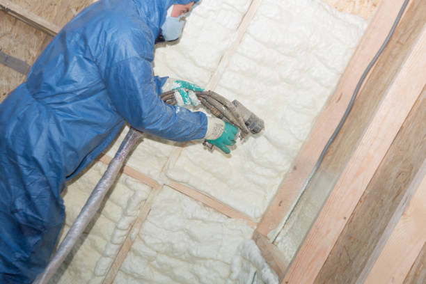 Best Blown-In Insulation  in Collierville, CA